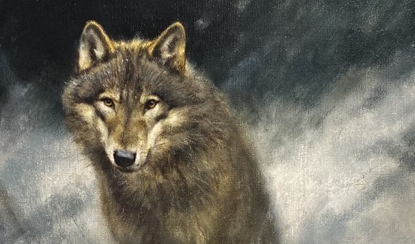 Rien Poortvliet - Vos in Sneeuw